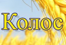 У «Колоса» появился собственный сайт