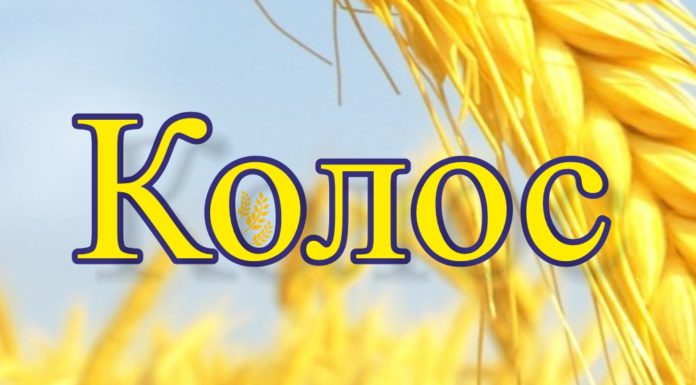 У «Колоса» появился собственный сайт
