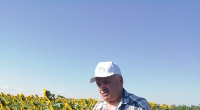 В «Науке» верят в лучшее!