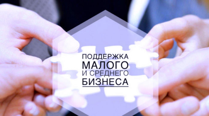 С начала года компании Алтайского края получили под поручительства центра «Мой бизнес» кредиты на сумму 3,7 миллиарда рублей