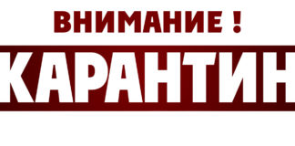 В селе Сросты введён карантин в связи с заболеваемостью бруцеллезом КРС