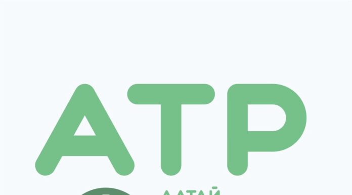 Порядка 500 участников приедут на форум «Алтай. Территория развития» в 2024 году