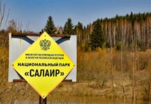В Алтайском крае национальный парк «Салаир» принимал участников экологической экспедиции